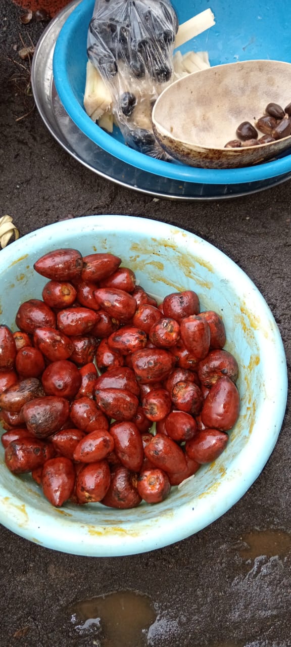 WhatsApp Image 2023 08 14 at 11.35.07 AM 2