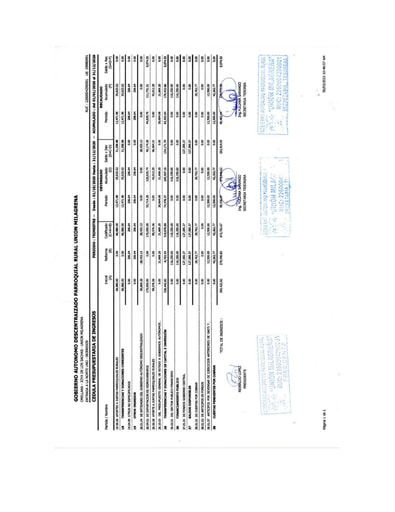 2020   Cedula Presupuestaria Ingresos y Gastos
